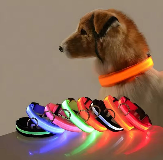 Collare per cani Nylon LED