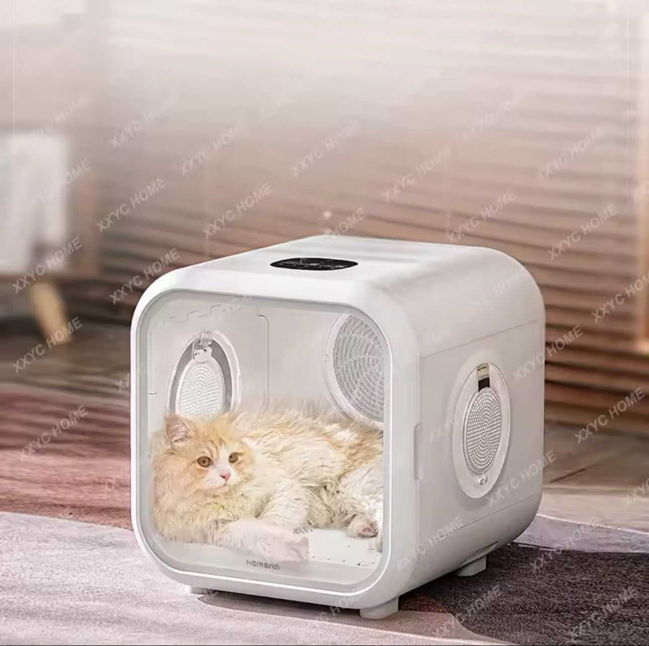 Essiccatore automatico per animali domestici, asciugacapelli intelligente per gatti e cani”.